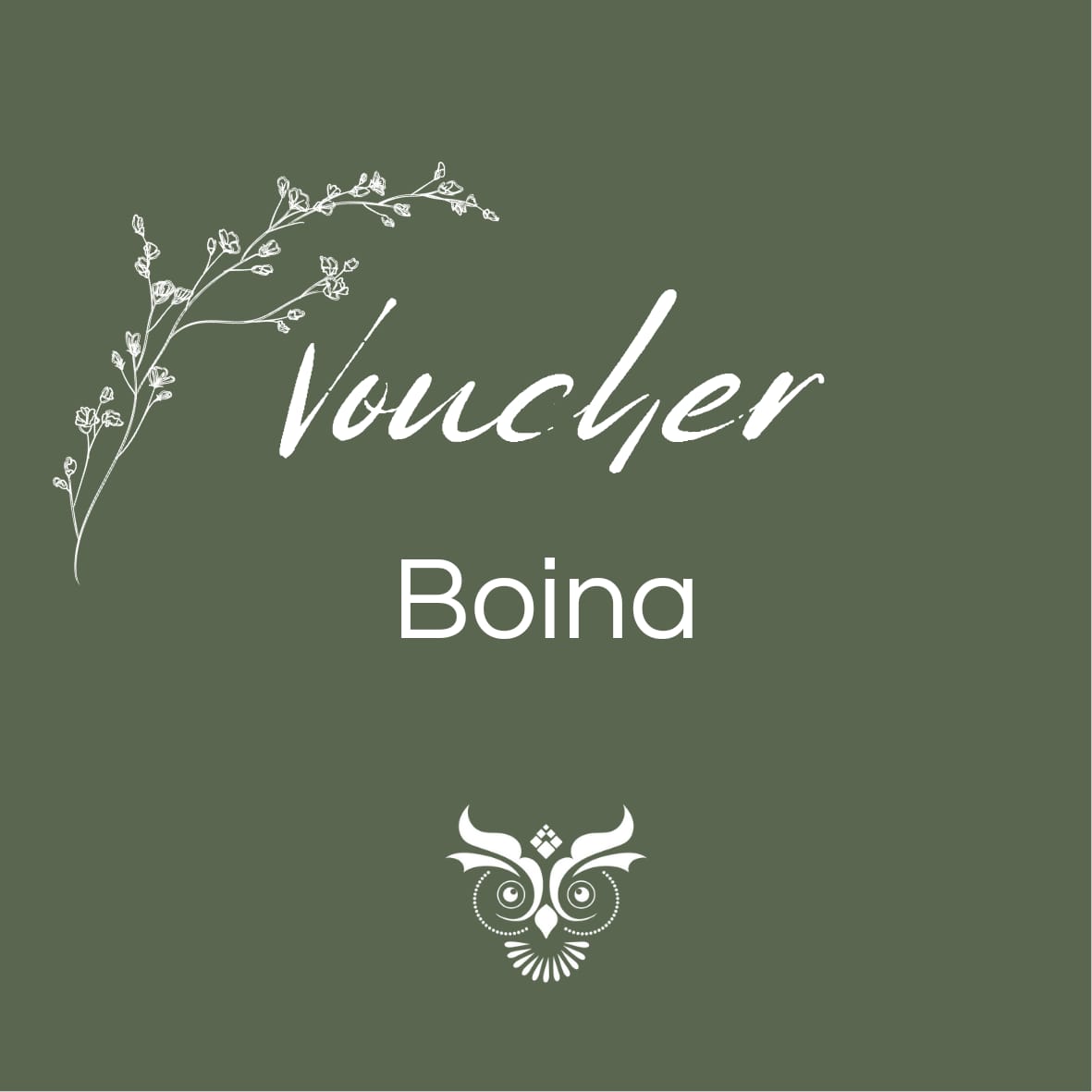 Voucher Boina Erikapimentacom 